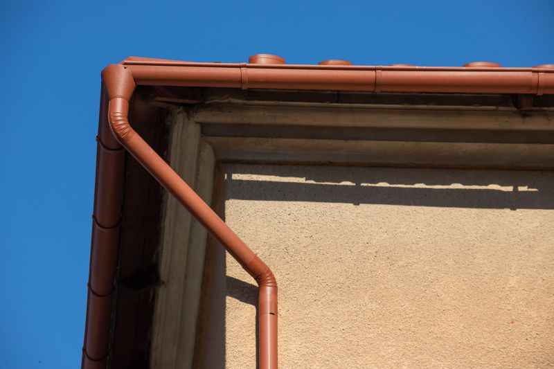 Gutter Service detail